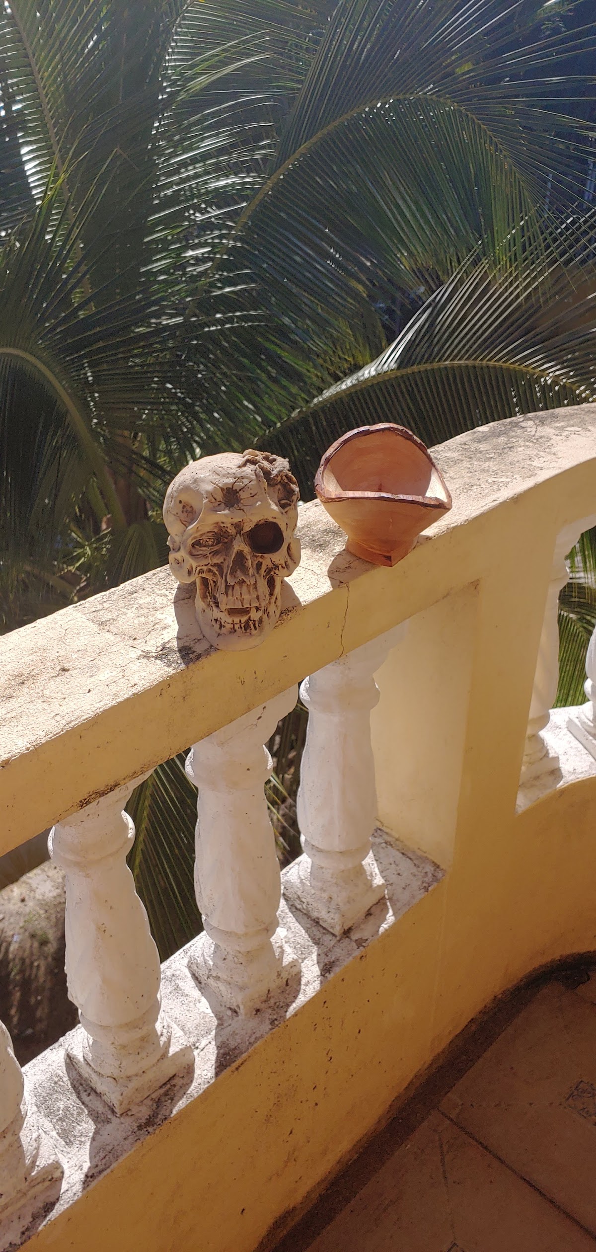Casa Belize - Home away from home gallery 4