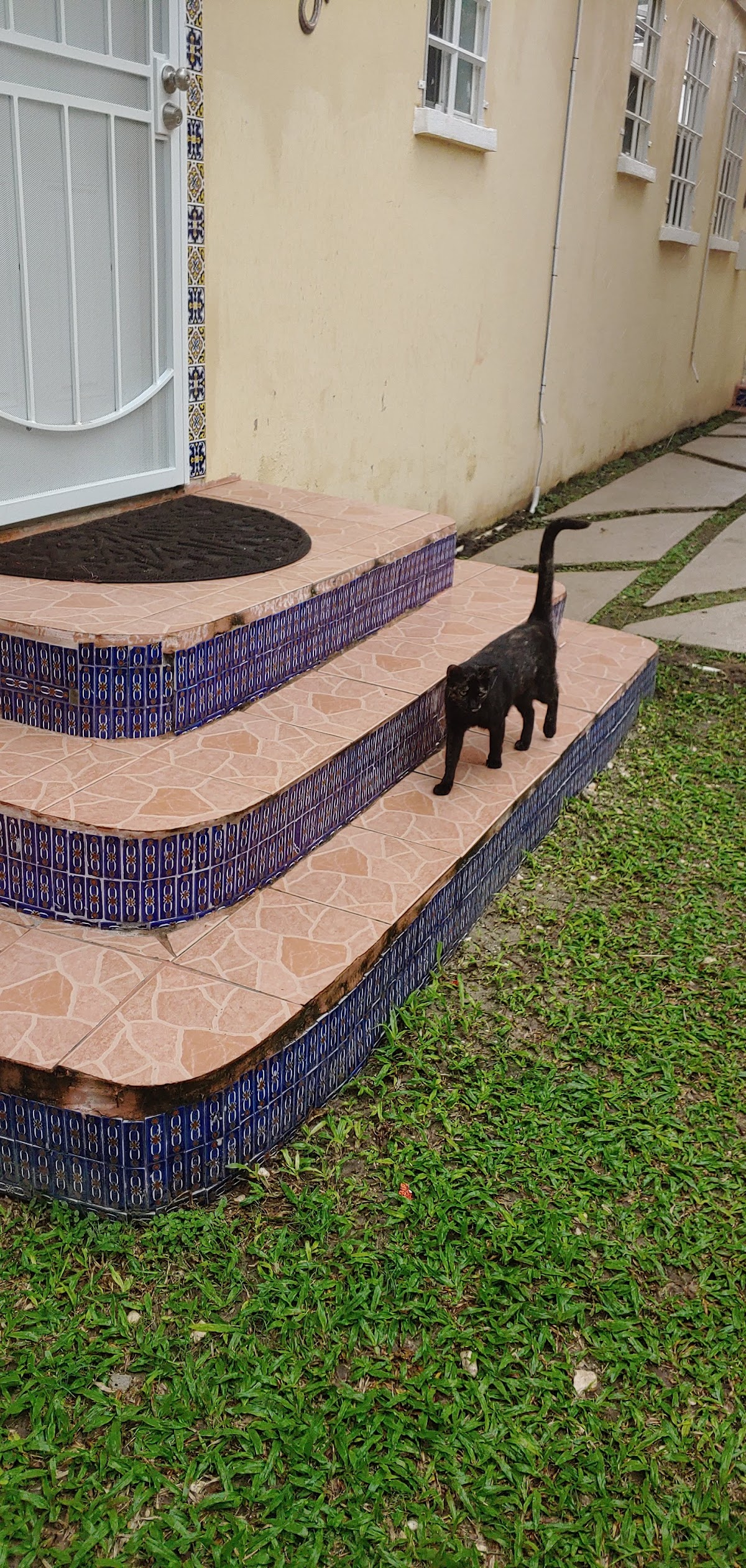 Casa Belize - Home away from home gallery 10