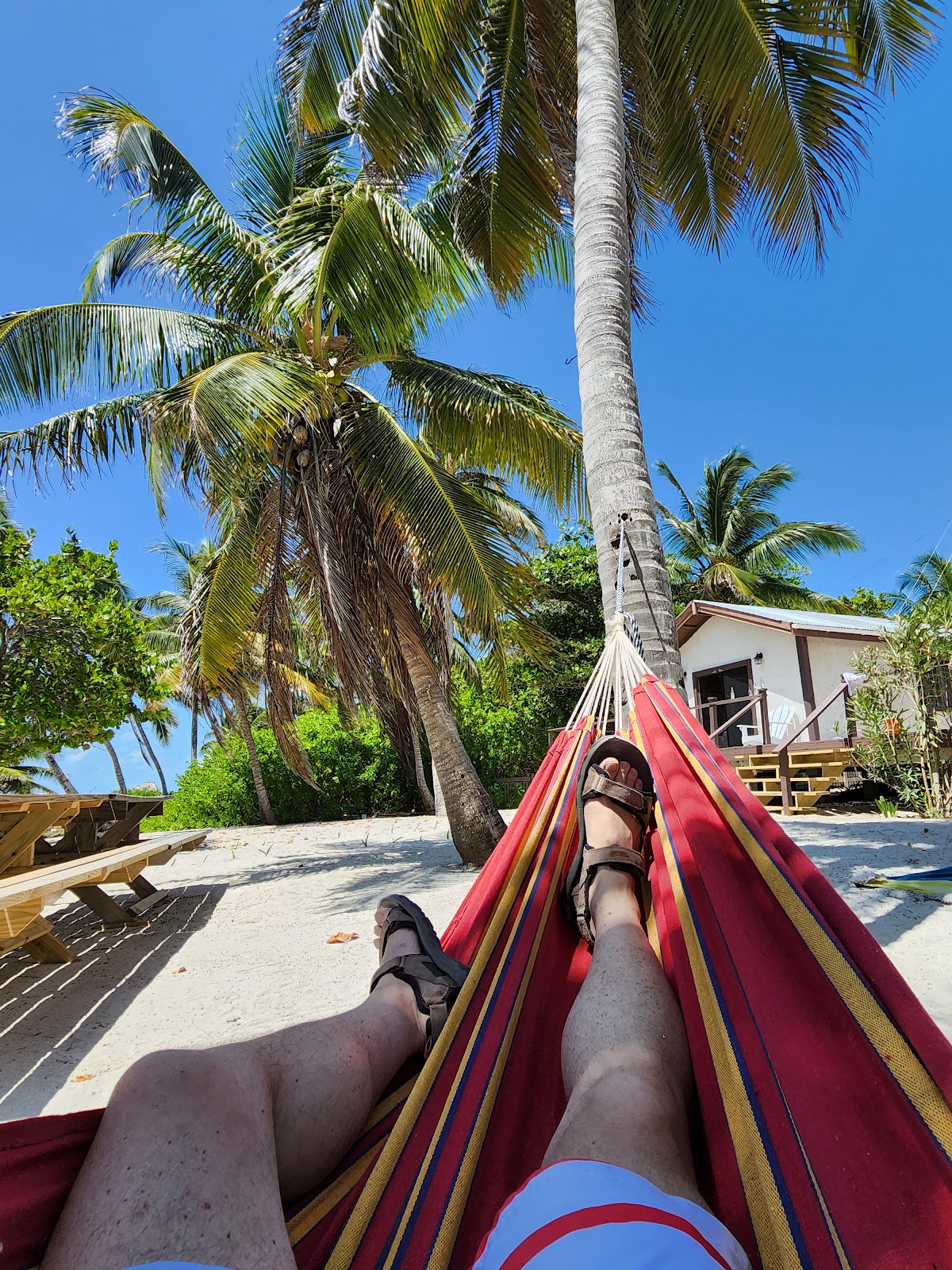 Casa Bonita Guesthouse cover