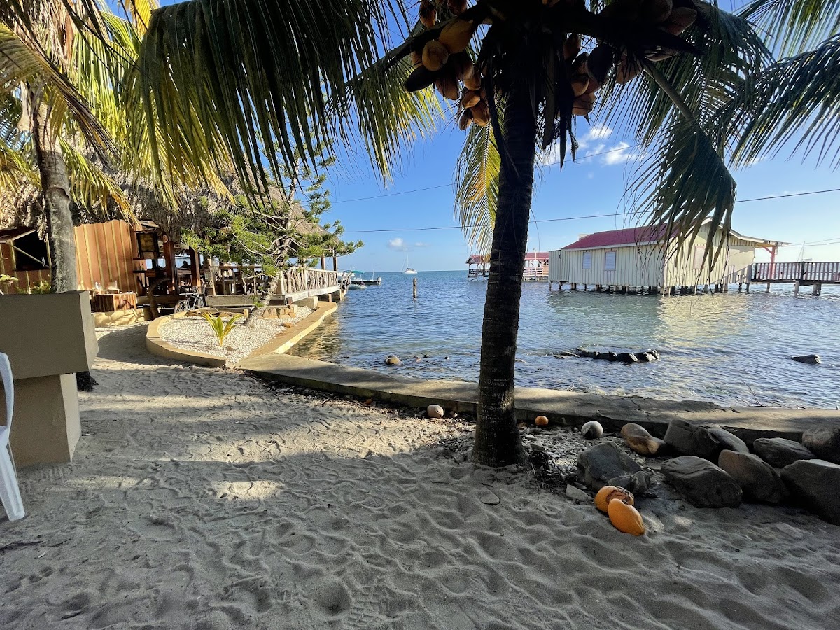 Alan's Paradise Hotel gallery 4