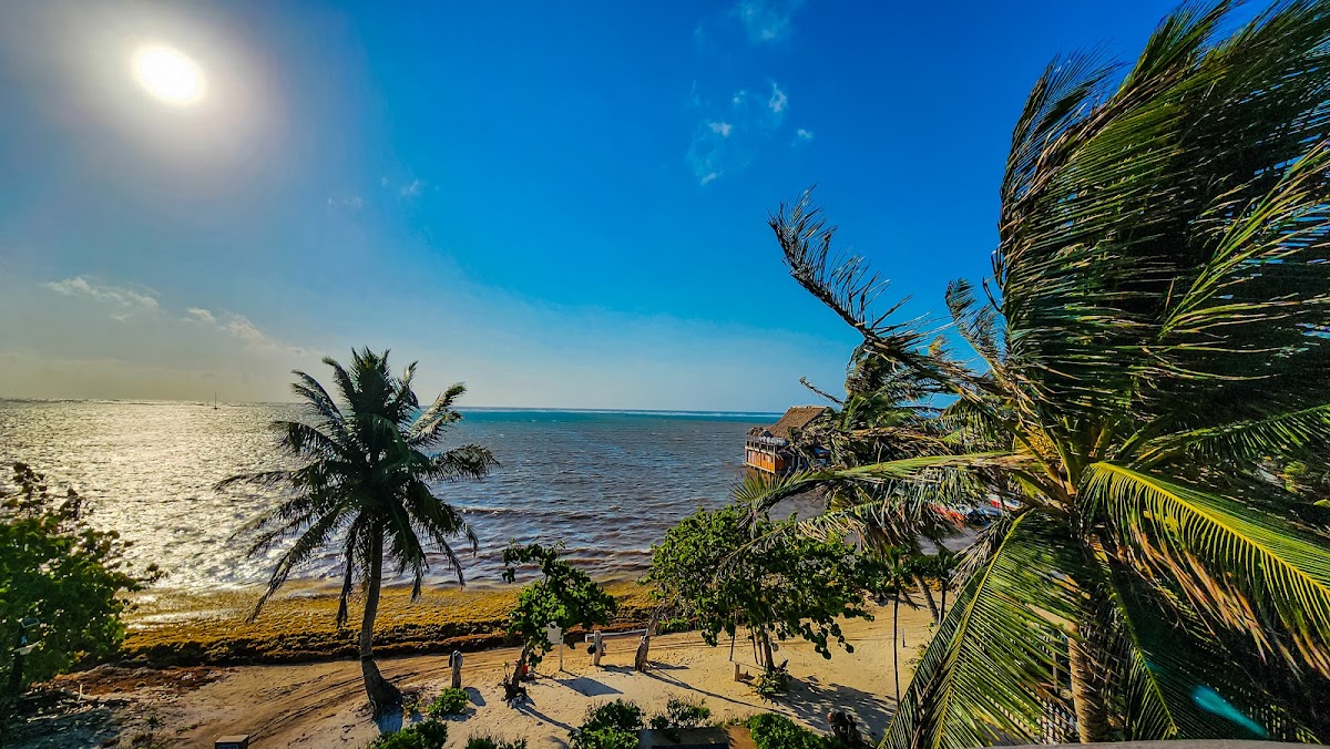 Twisted Palm Villas gallery 10
