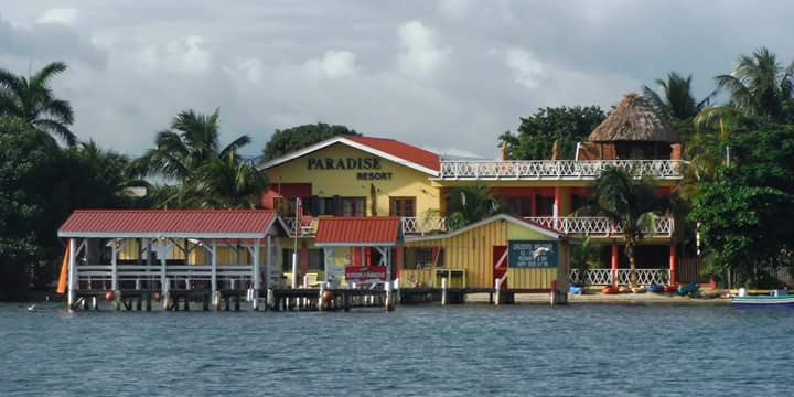 Alan's Paradise Hotel gallery 6