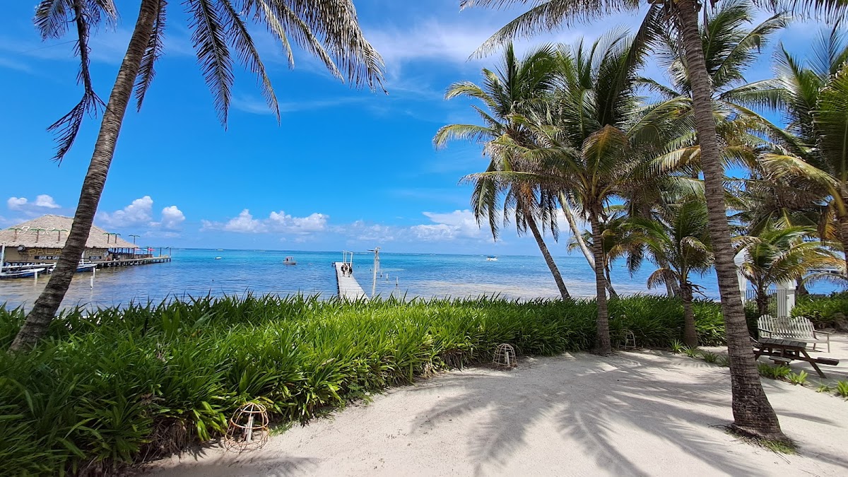 Tradewinds Paradise Villas gallery 5