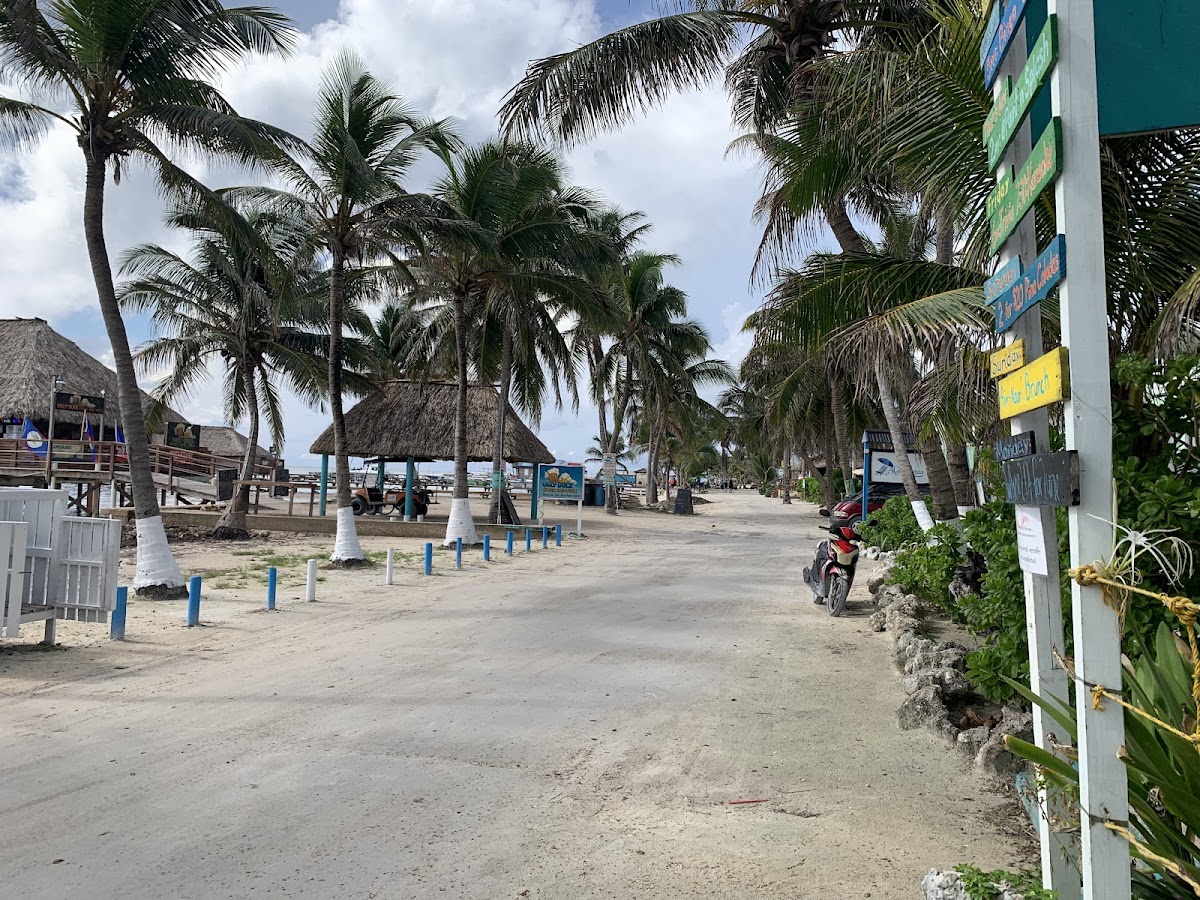 Seven Seas Resort gallery 8