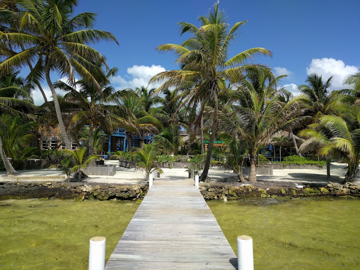 White Sands Cove Resort gallery 8