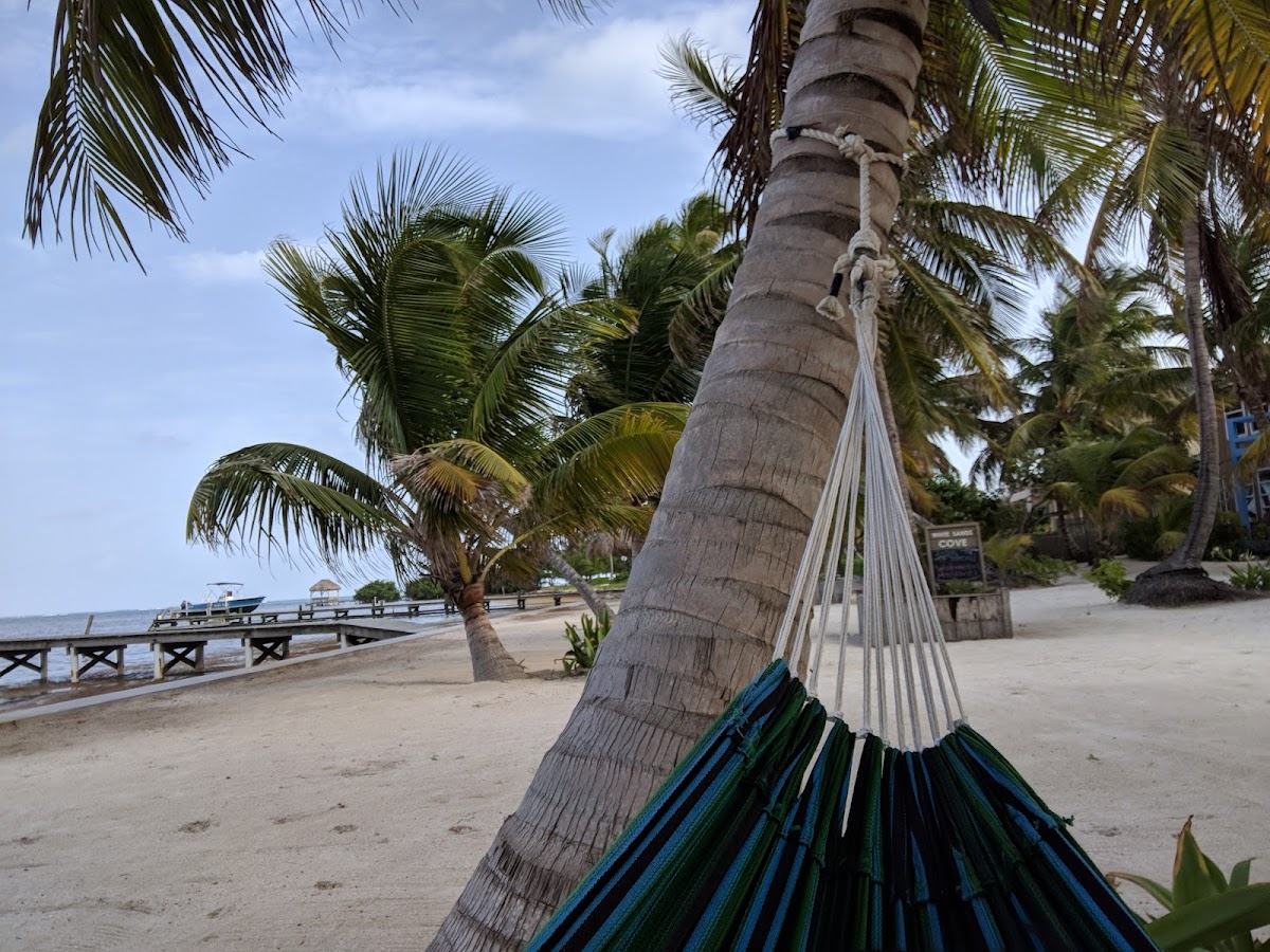 White Sands Cove Resort gallery 10