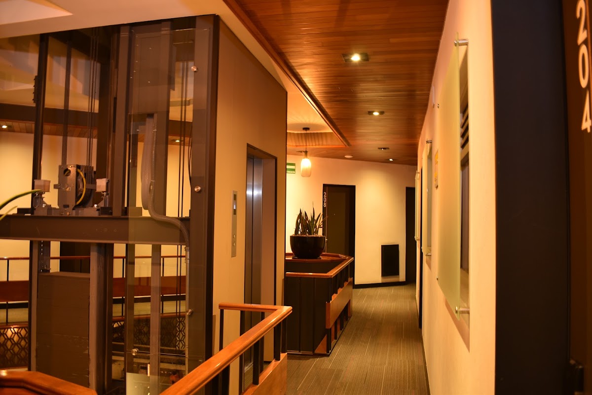 Hotel VOS Condesa gallery 8