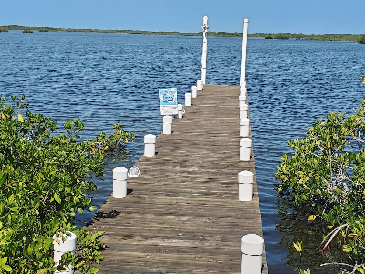 El Estero gallery 6