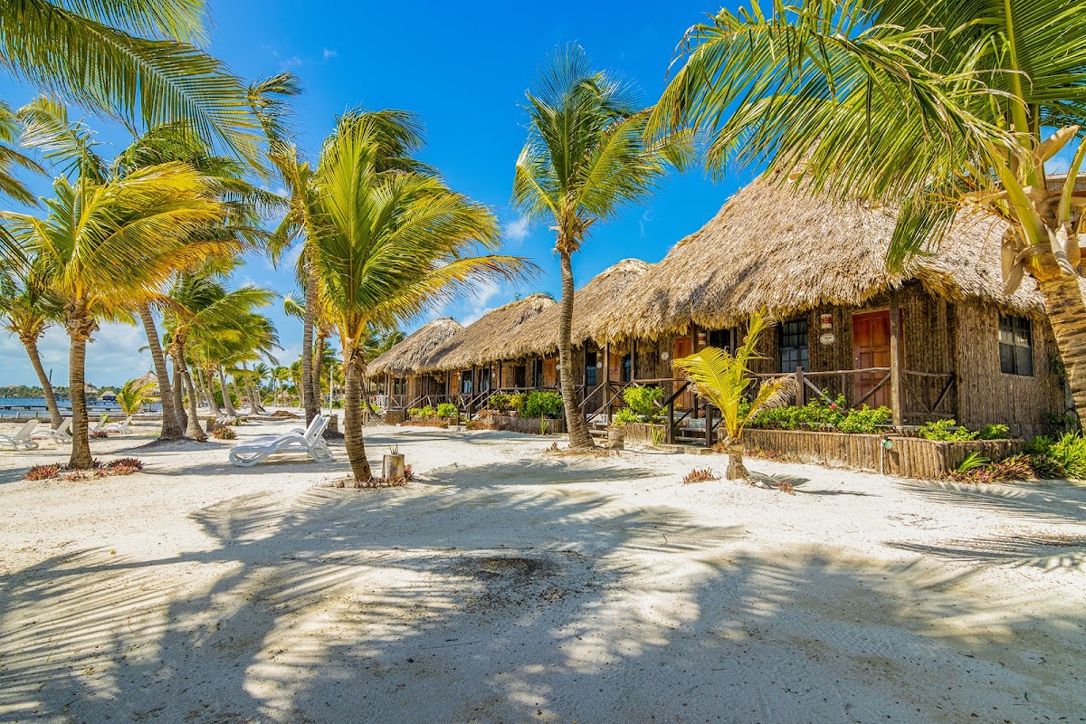 Captain Morgan's Retreat gallery 6