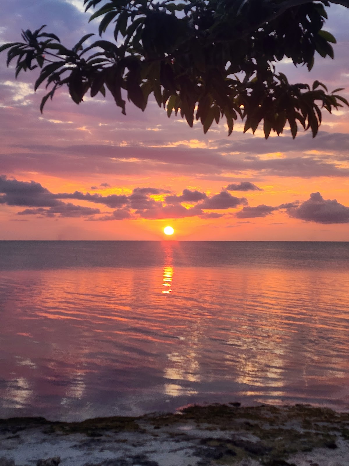 Ixchel Wellness Resort gallery 9
