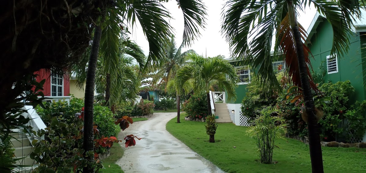 Cocotal Inn And Cabanas gallery 8
