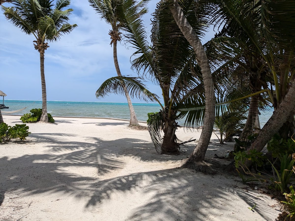 Cozy Caye Casita gallery 6