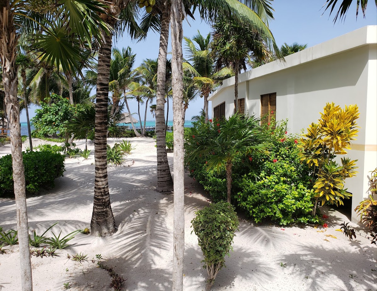 Villa Ruby - La Perla Resort on Ambergris Caye in Belize cover