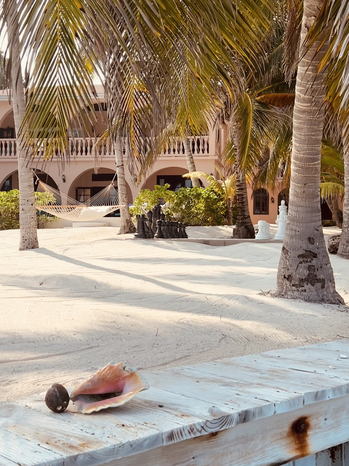 Casa Tortuga gallery 4