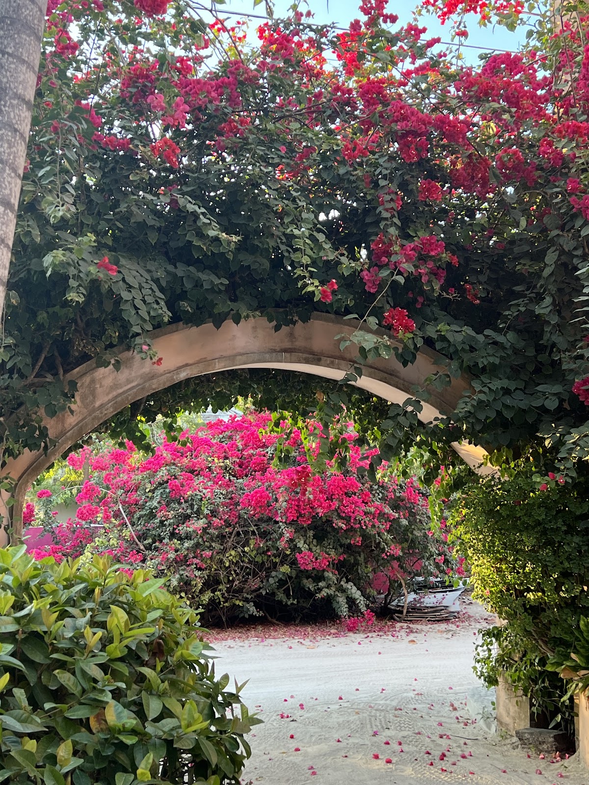 Casa Tortuga gallery 7