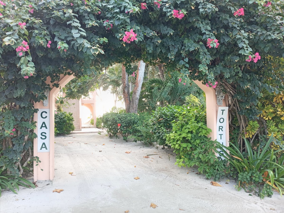 Casa Tortuga gallery 9