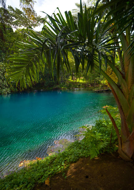 Belize Resorts gallery 7
