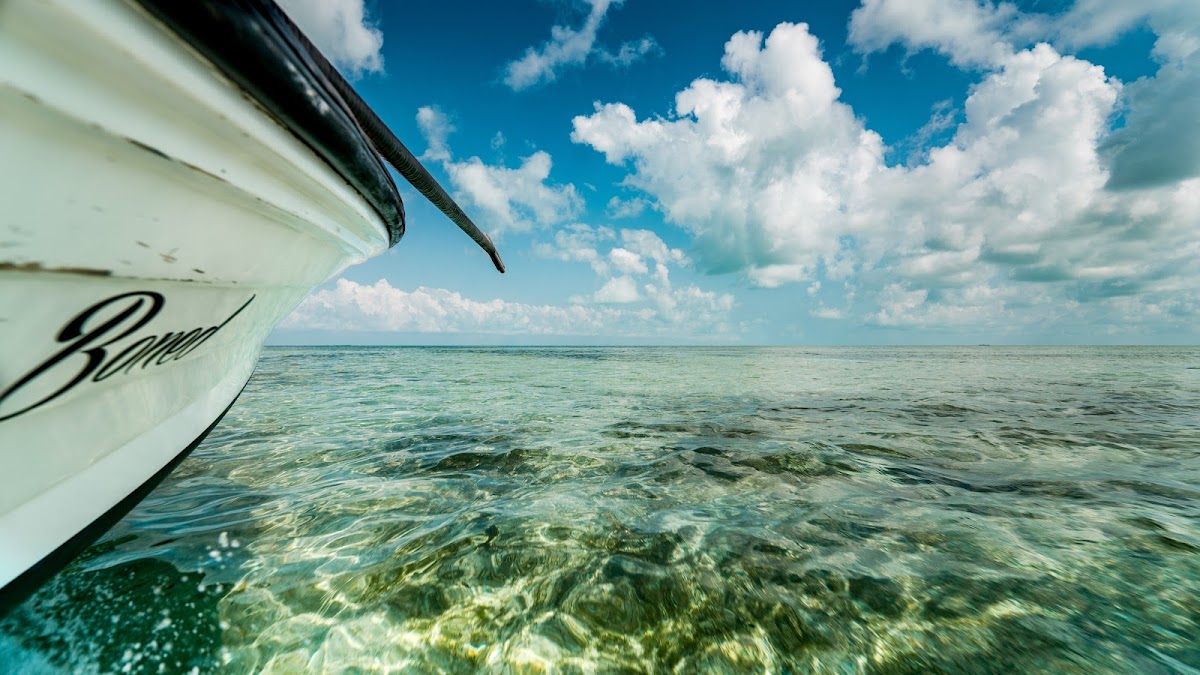 Blue Bonefish Lodge gallery 10