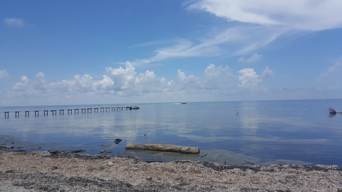 The Residences at Barrier Reef gallery 9