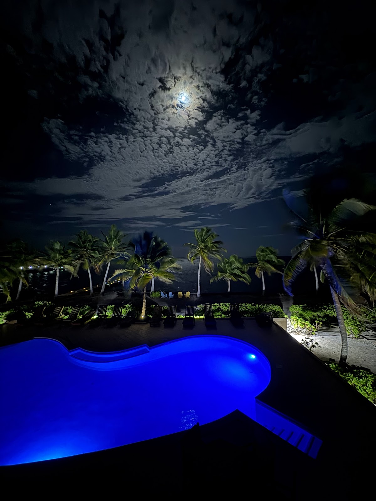 Oceanaire Condos gallery 5