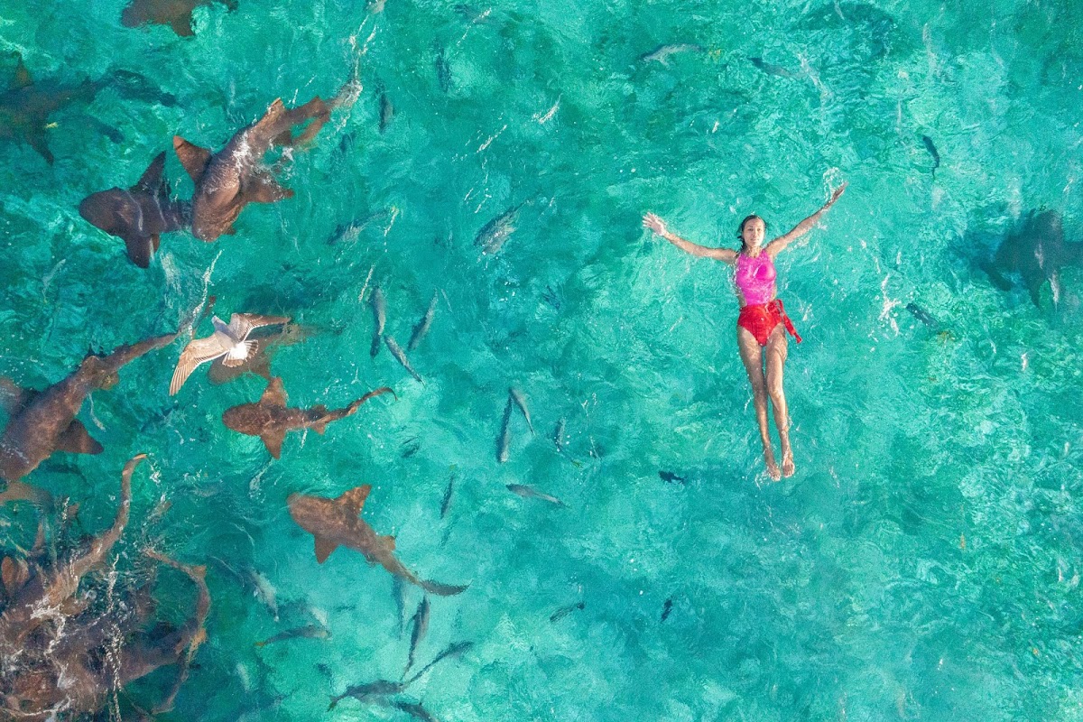 Reef Haven Belize – All-Inclusive gallery 8