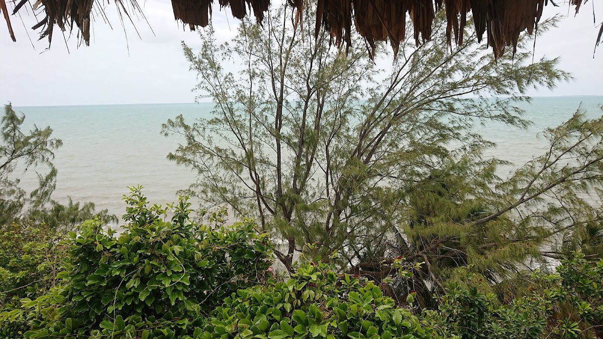 Placencia Villas gallery 9