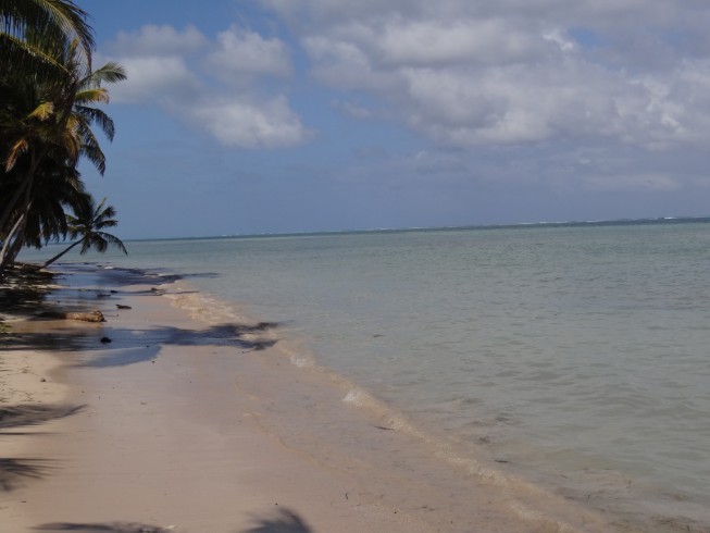 North Beach Island Resort gallery 6