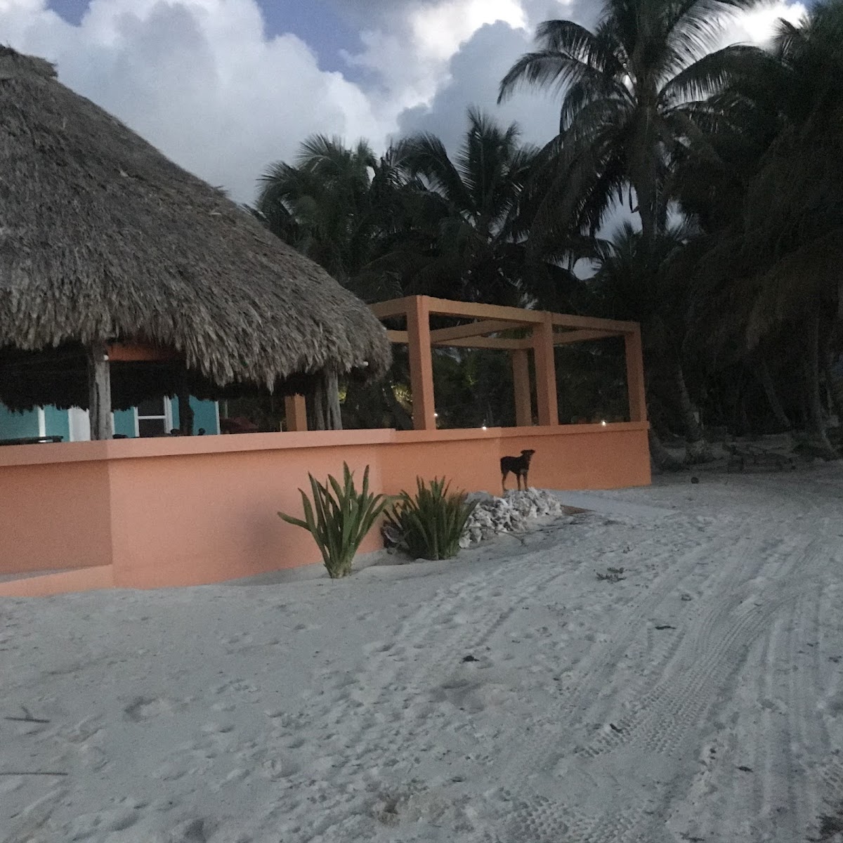 North Beach Island Resort gallery 7