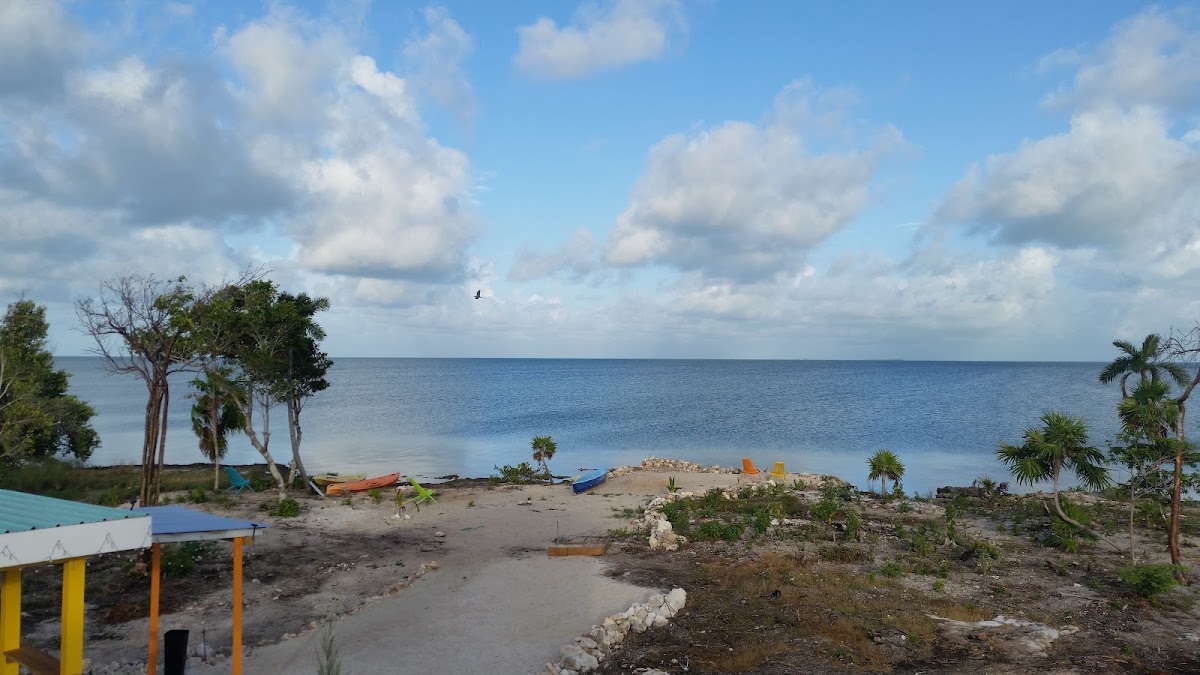 Paradise on the Caye gallery 8