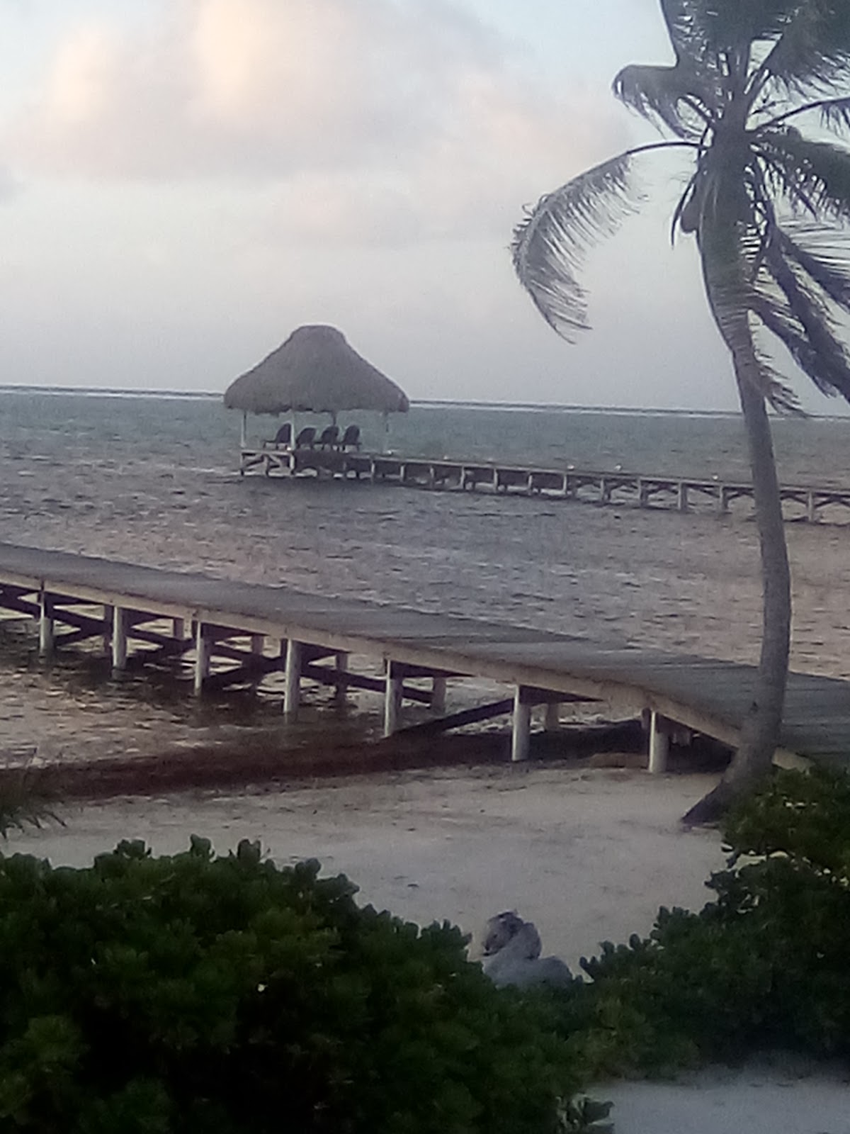 Tropical Escape gallery 5