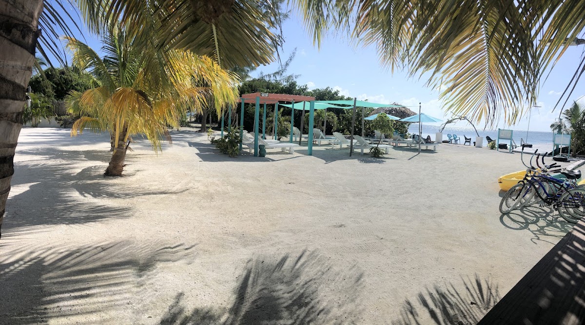Bay Towers Hotel gallery 8