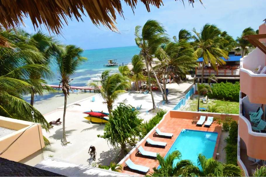 Coconut Beach Caye Caulker gallery 4