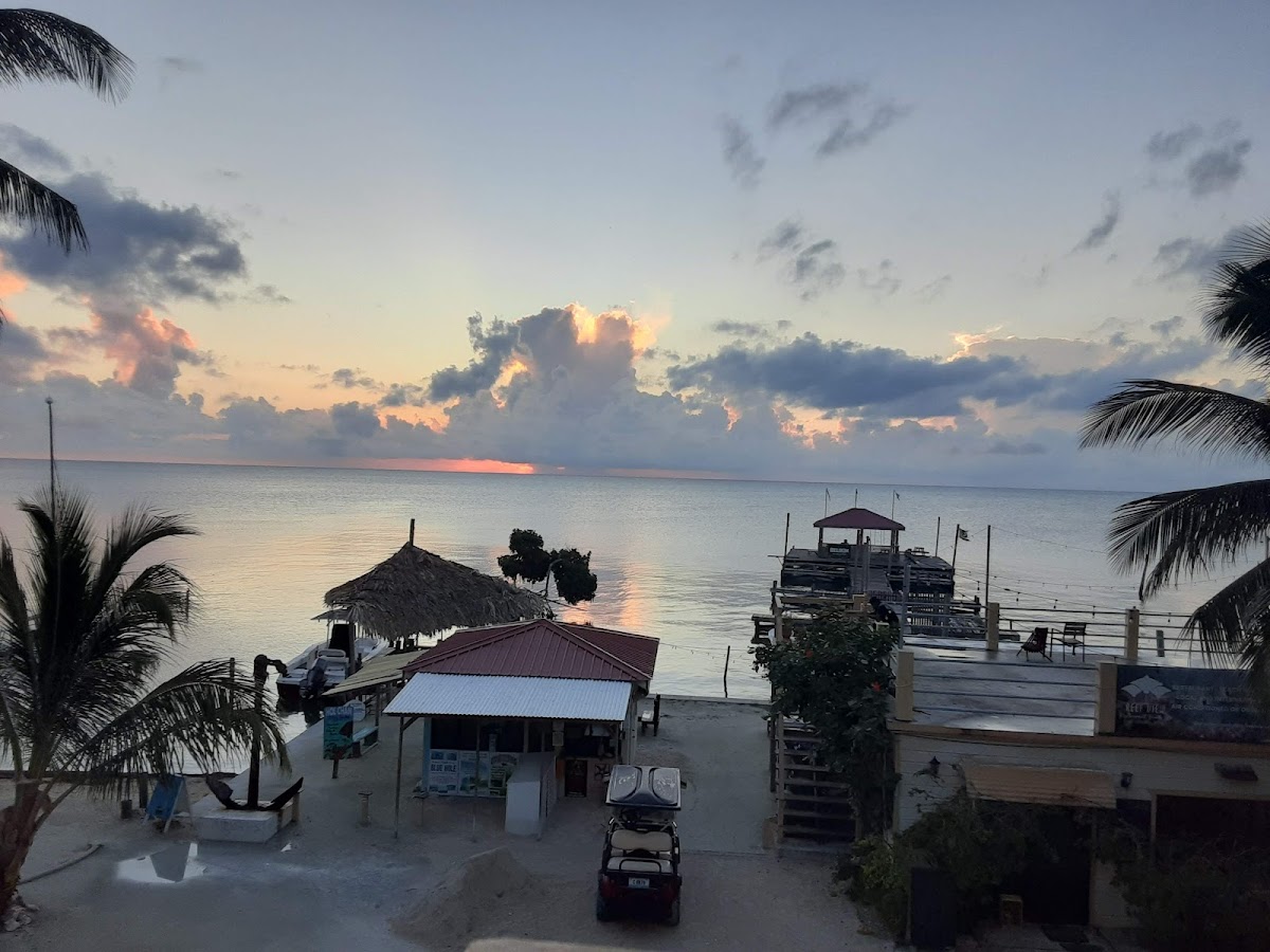 Coconut Beach Caye Caulker gallery 10
