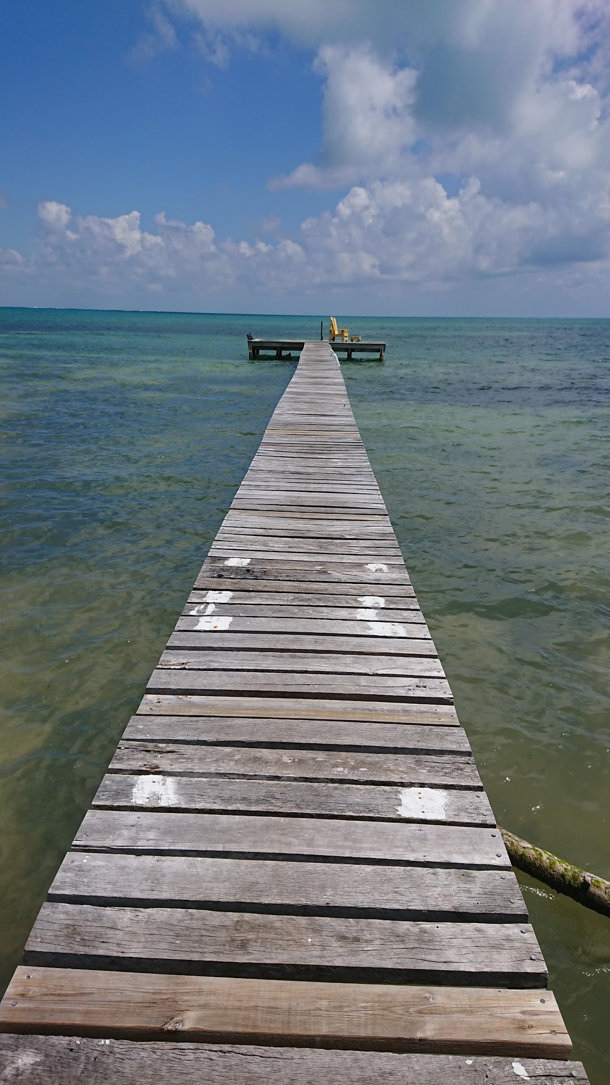 The Novelo cover