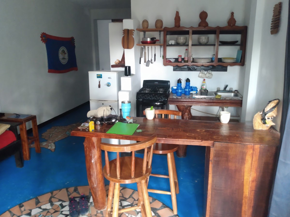 The Novelo gallery 5
