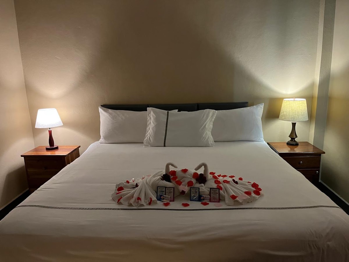 Enjoy Hotel gallery 2