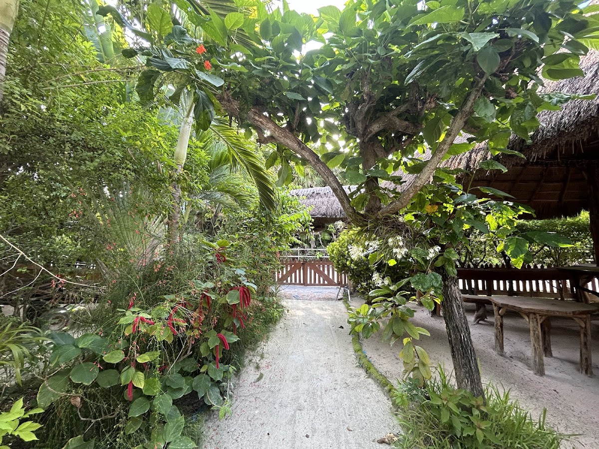 Oasi gallery 5