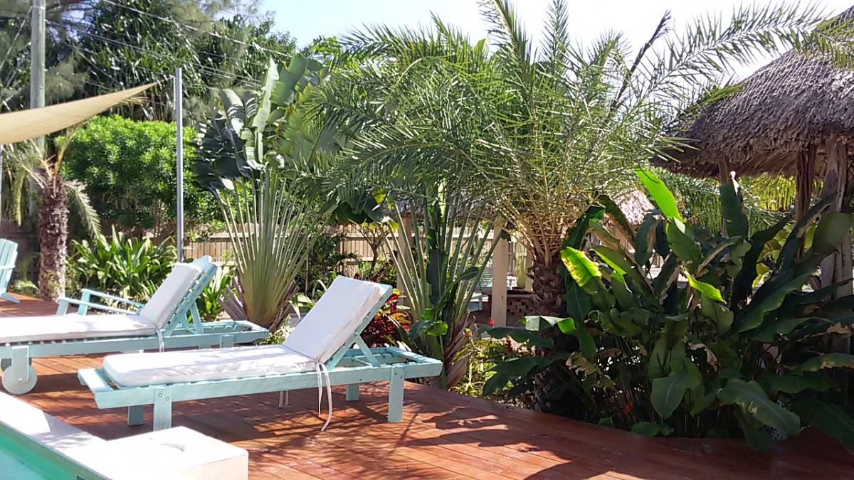 Caye Caulker Towers gallery 5