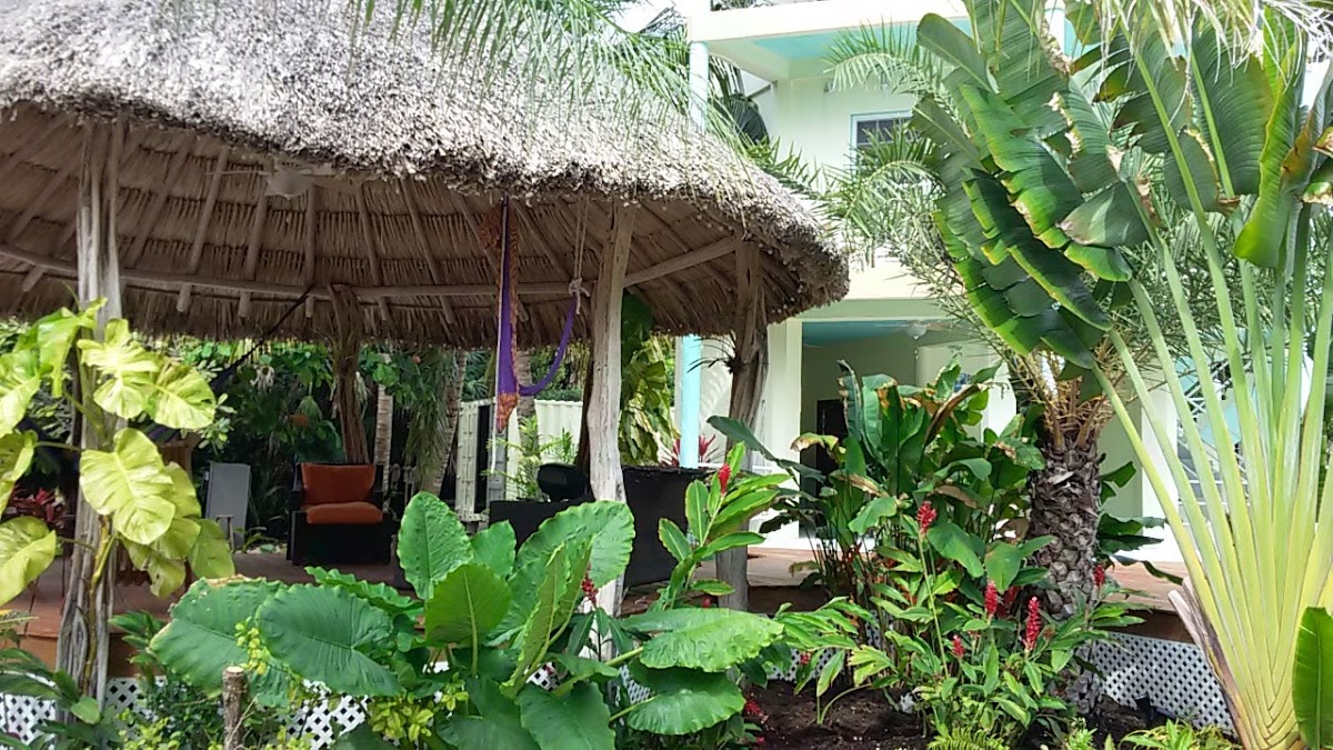 Caye Caulker Towers gallery 7