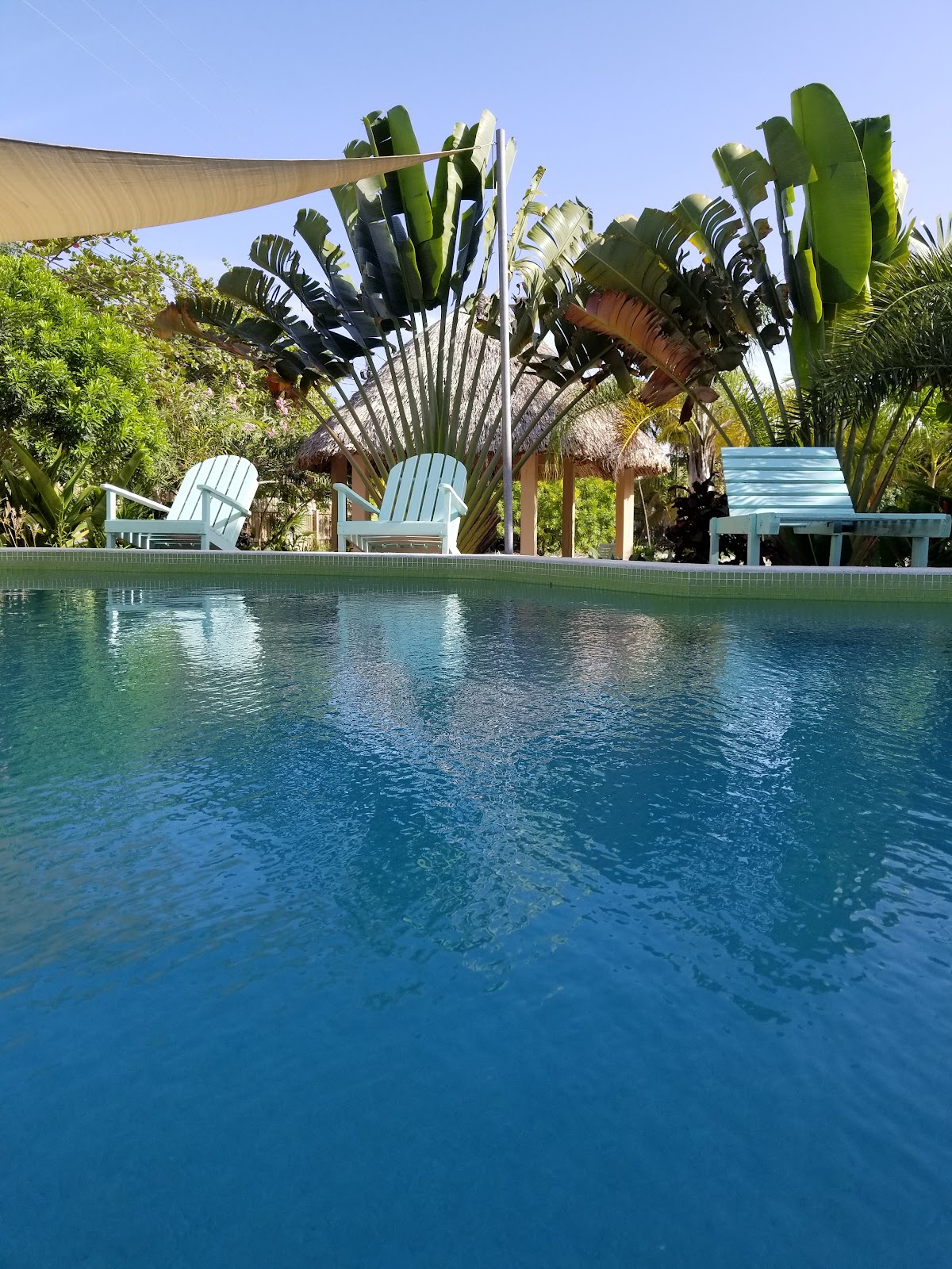 Cascada Maya Hotel gallery 8