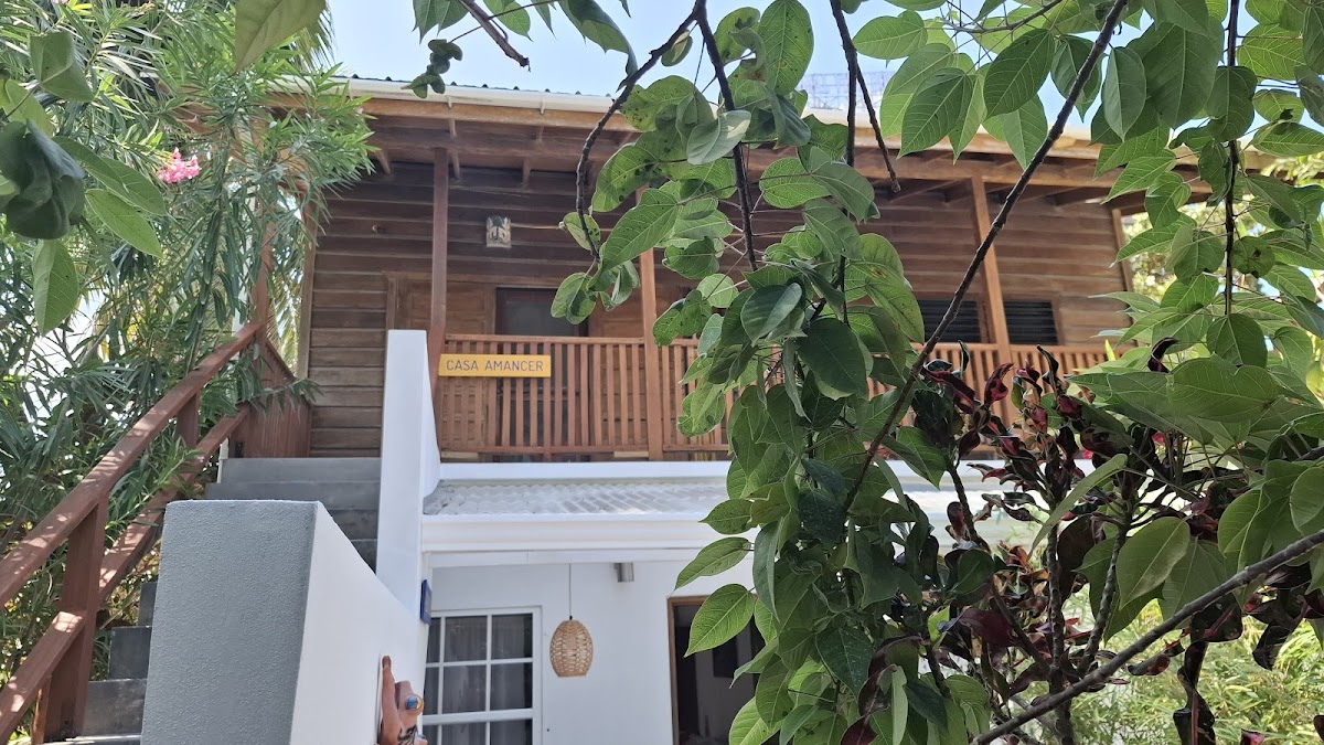 Amanda's Place gallery 9
