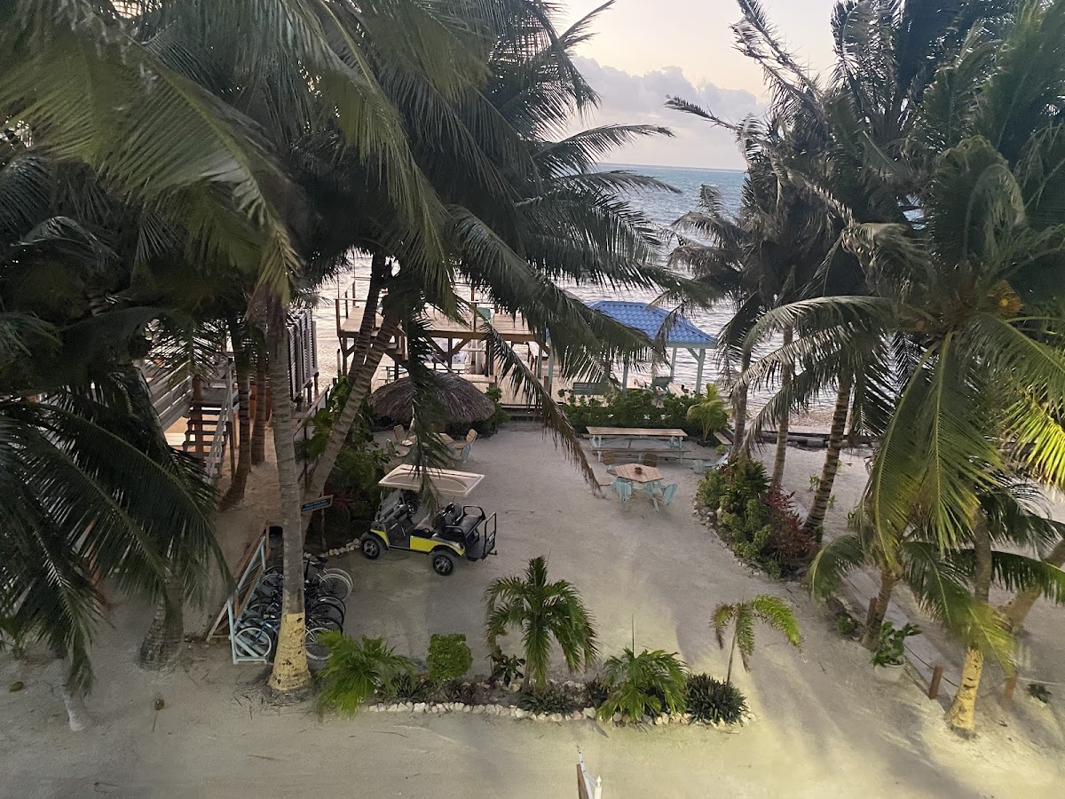 Pura Vida Inn gallery 8