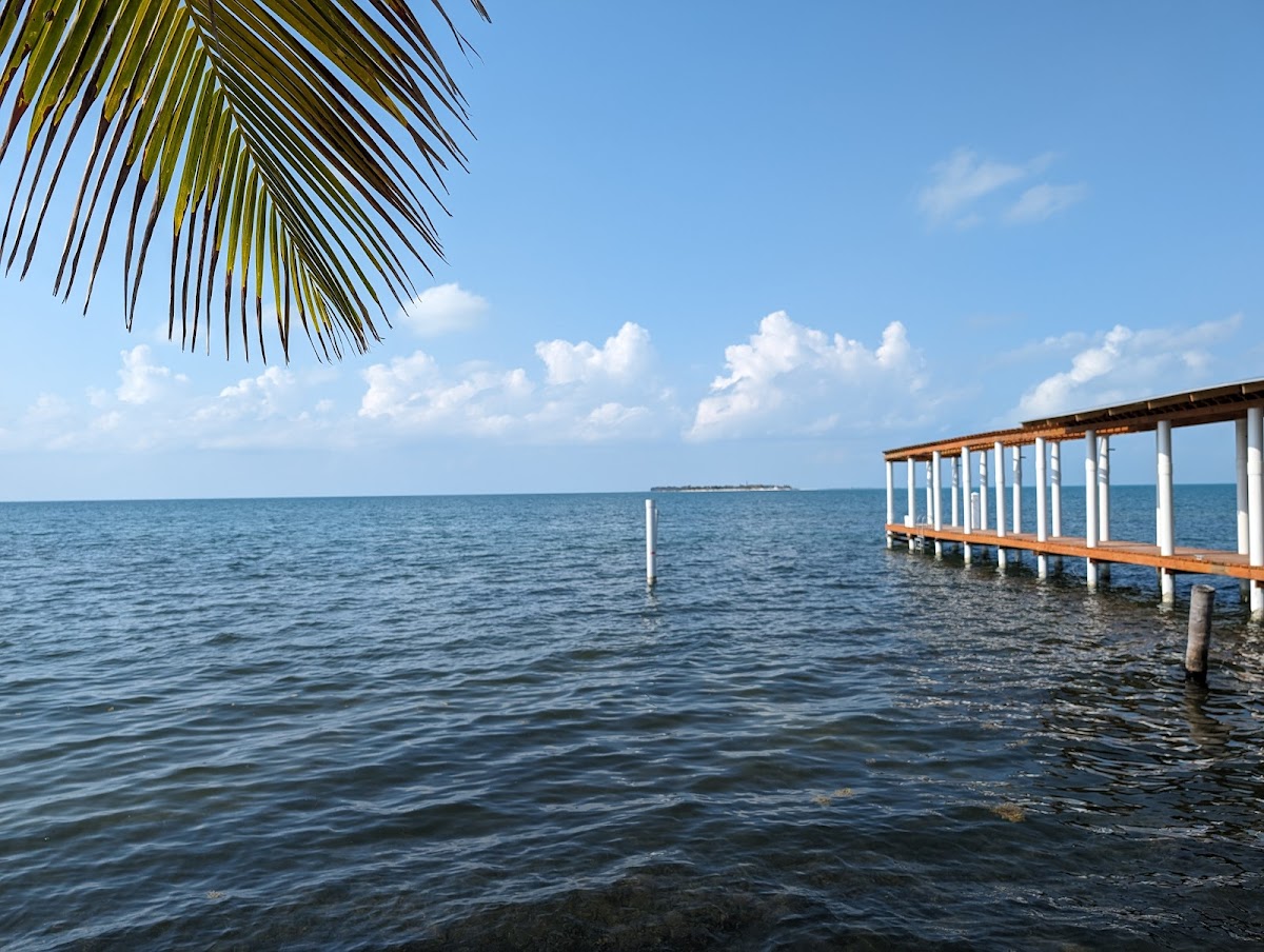 South Beach Properties gallery 8