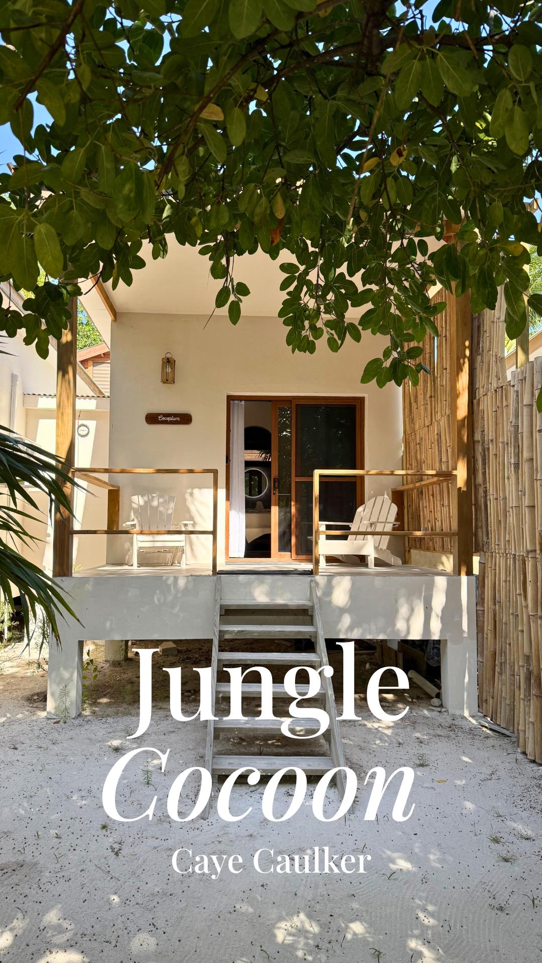 Jungle Cocoon gallery 4