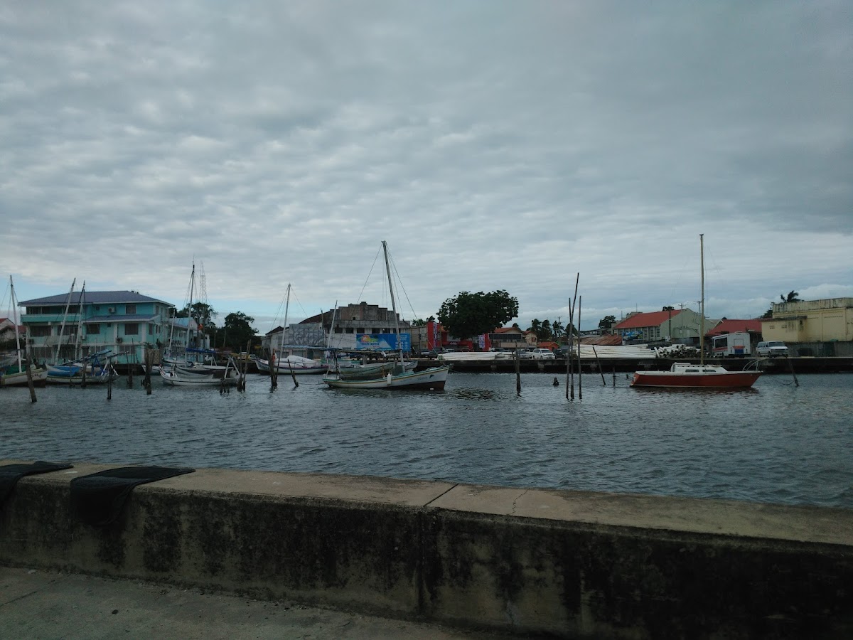 Seaside Guesthouse gallery 5