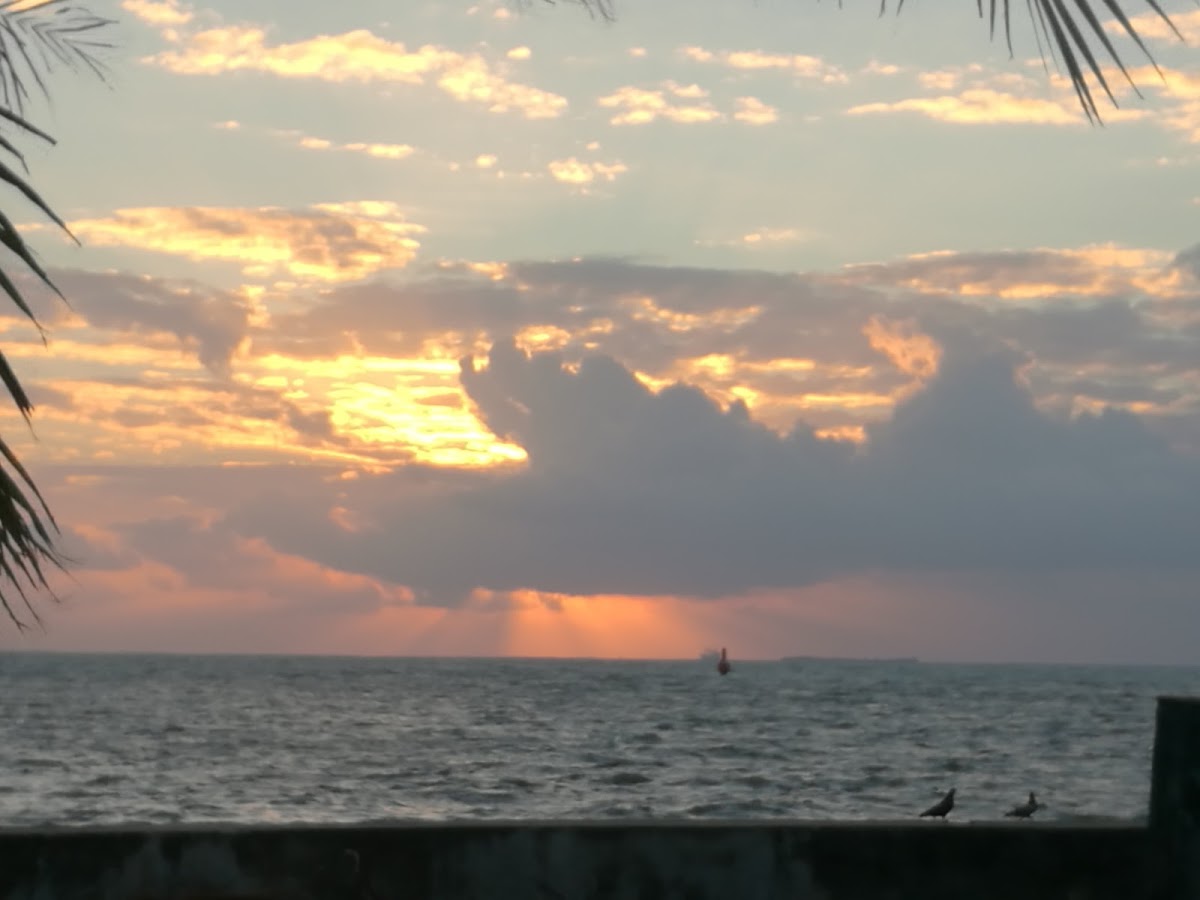 Seaside Guesthouse gallery 7
