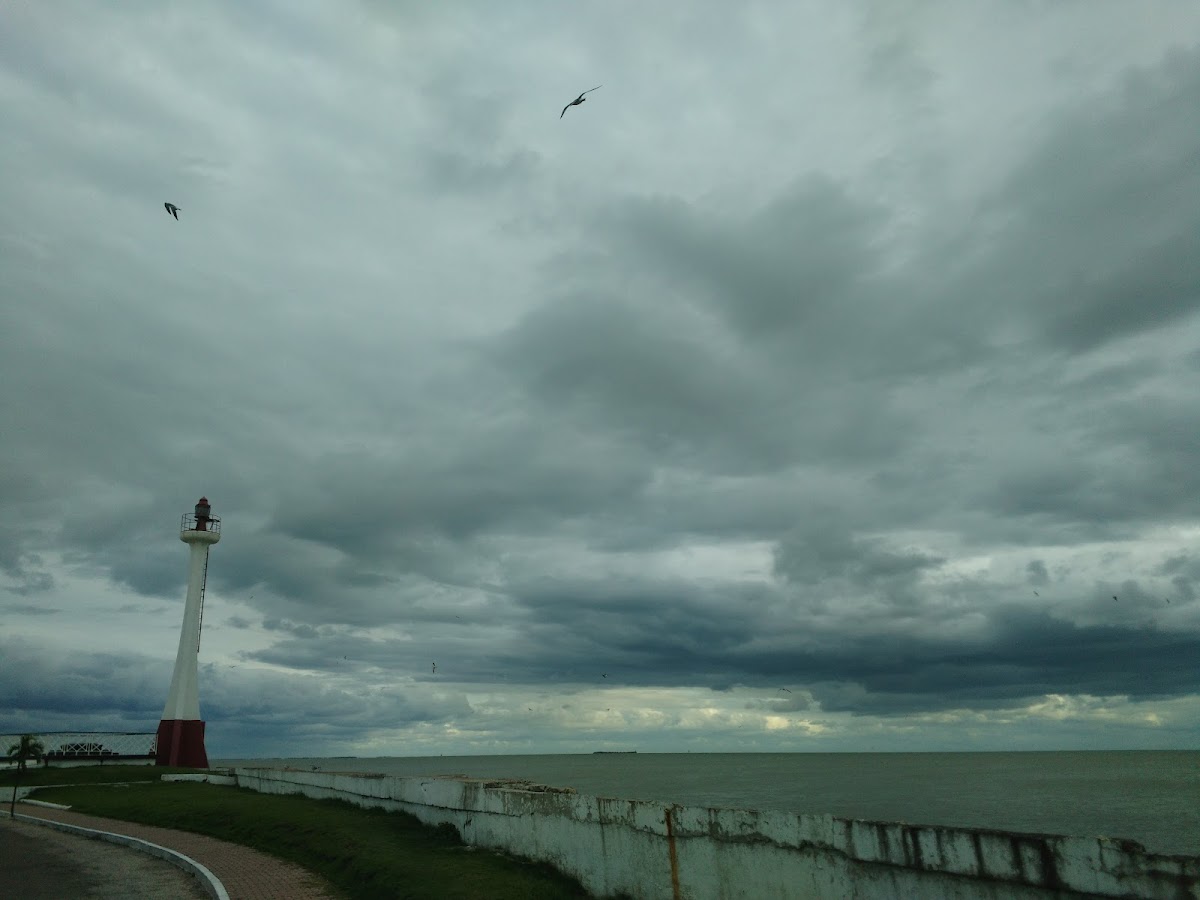 Seaside Guesthouse gallery 8