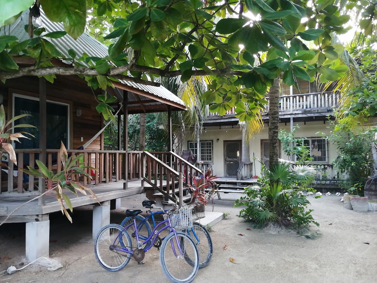 Picololo Holiday Rentals gallery 4