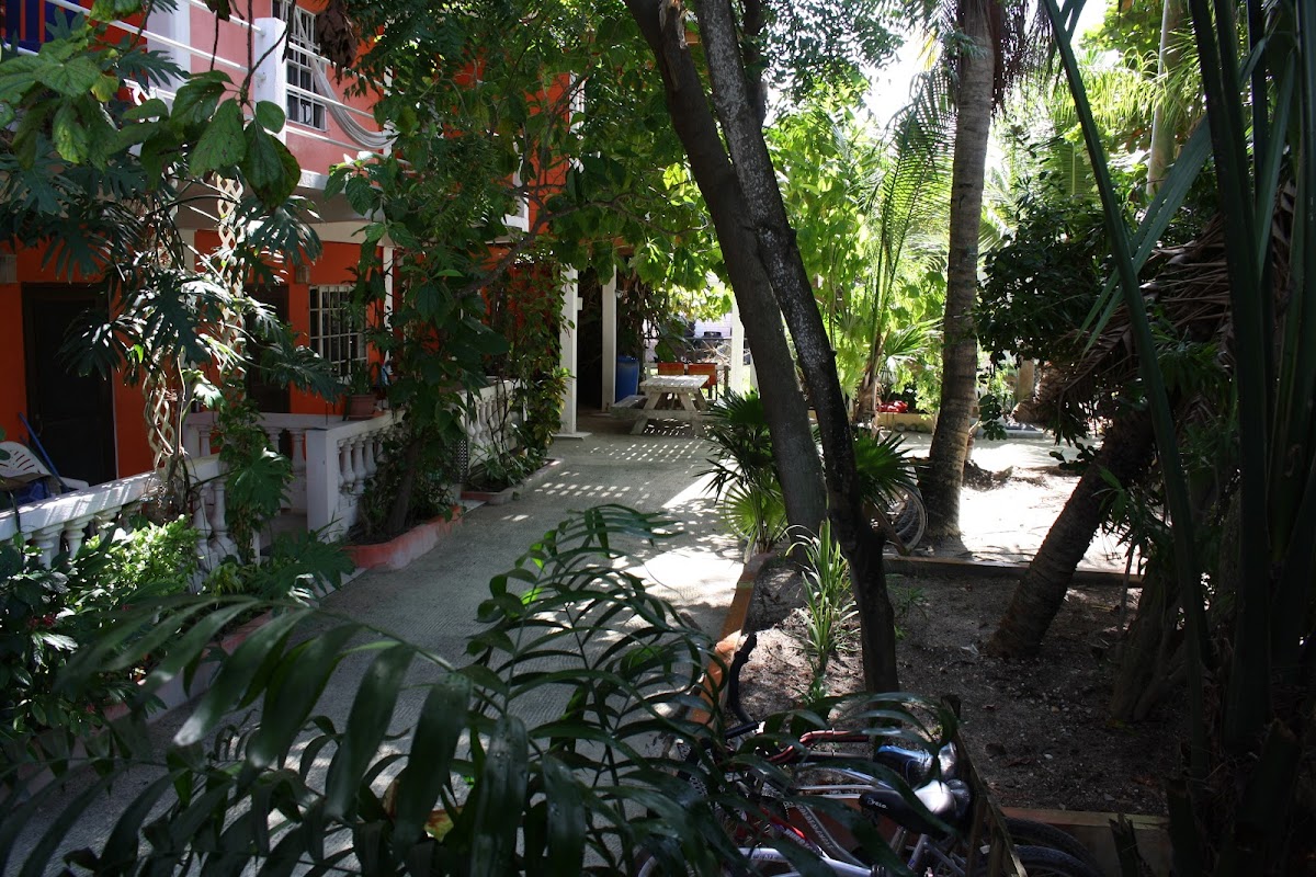 Macaw Apartments gallery 7