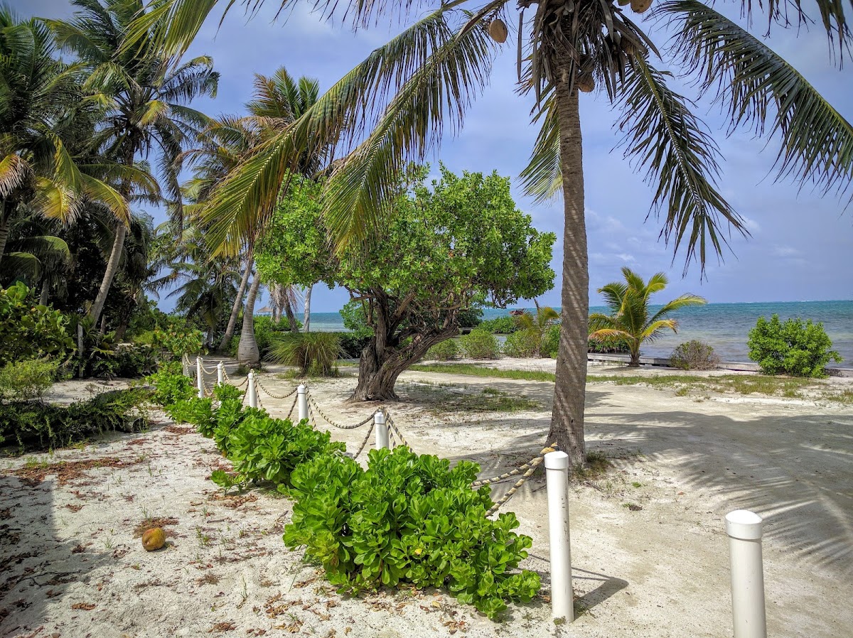 BeachSide Cottage gallery 7